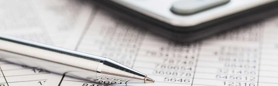 SaaS Costs: A Brief Appraisal