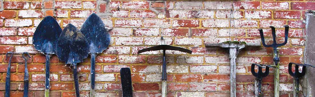 The Tools Bit Zesty Use